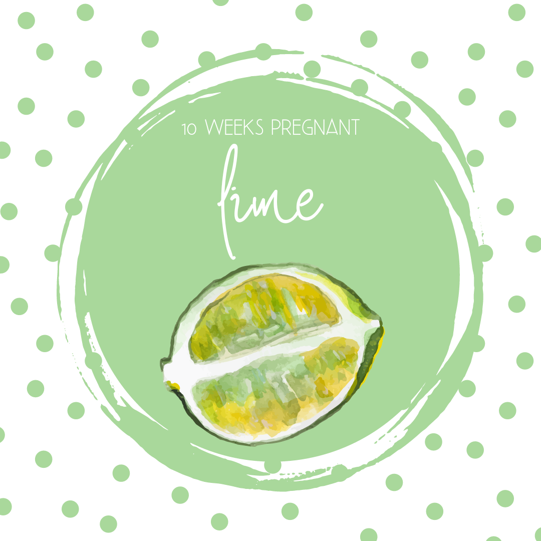 Pregnancy Tracker: Week 10