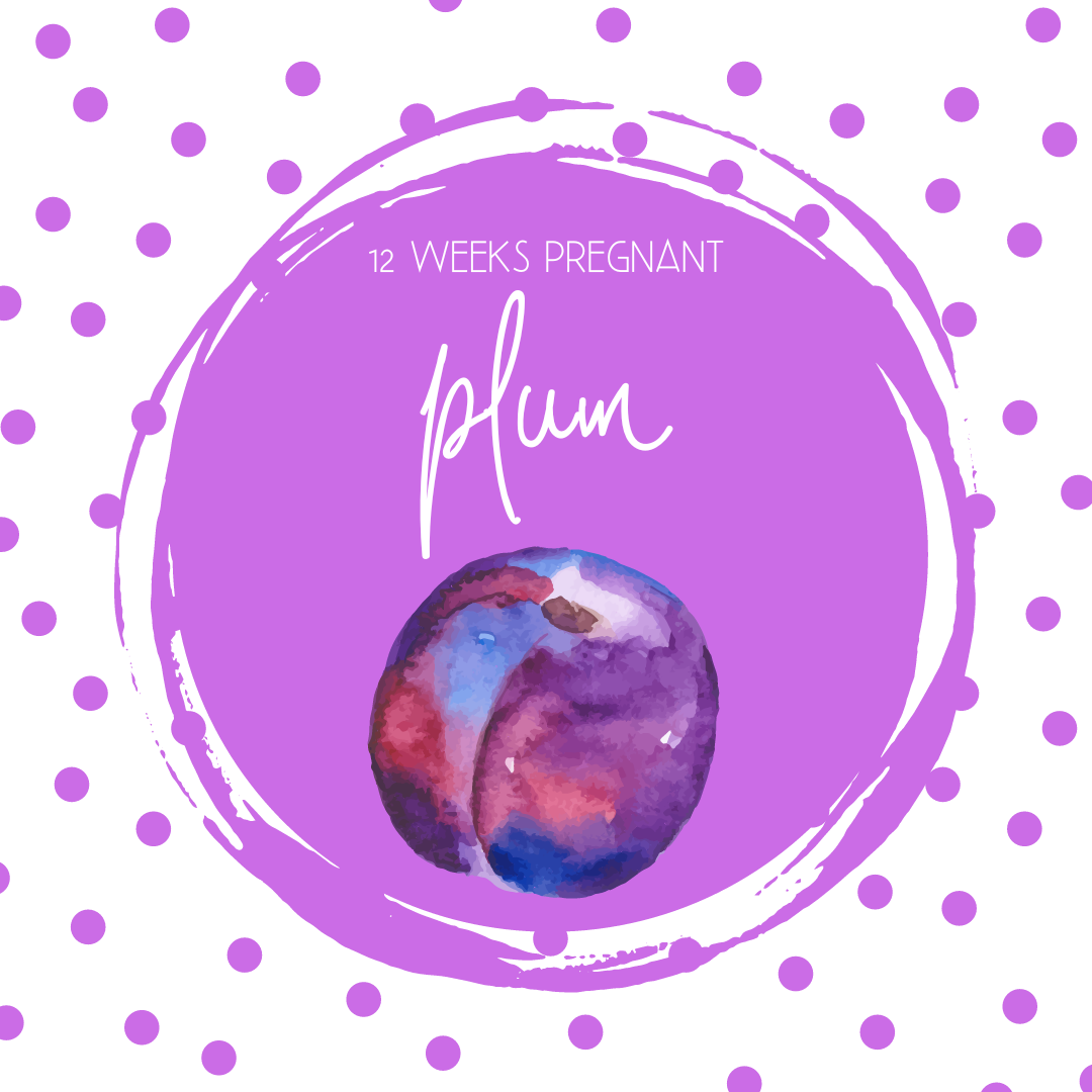 Pregnancy Tracker: Week 12