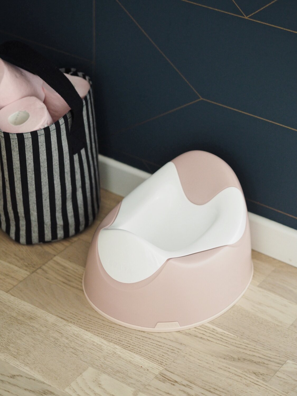 Training Potty