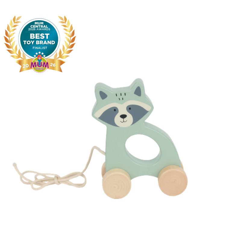 Bubble Wooden Raccoon Pull Along Toy