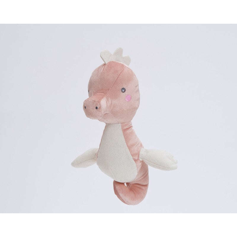 Luna the Seahorse