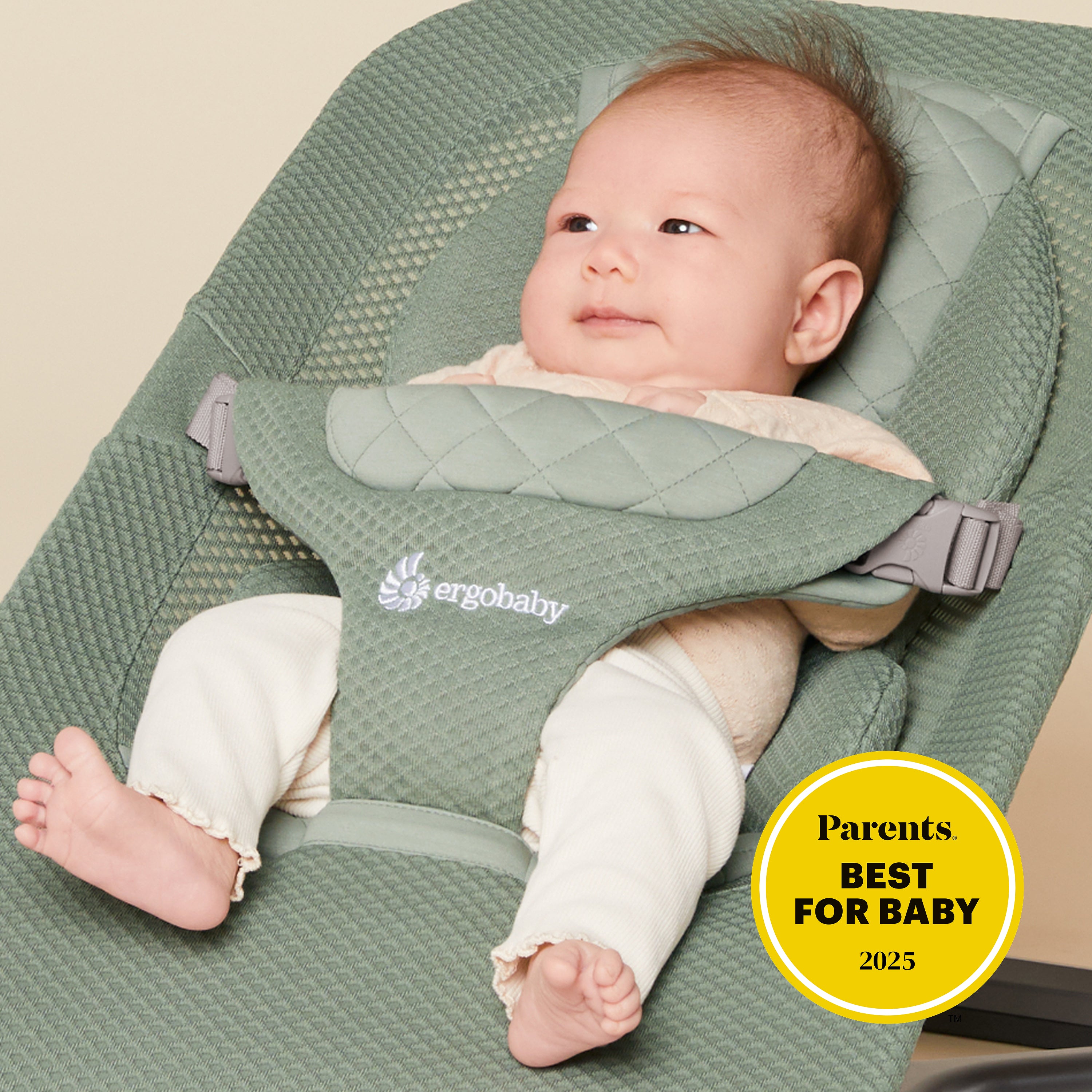 Evolve 3-in-1 Bouncer Mesh