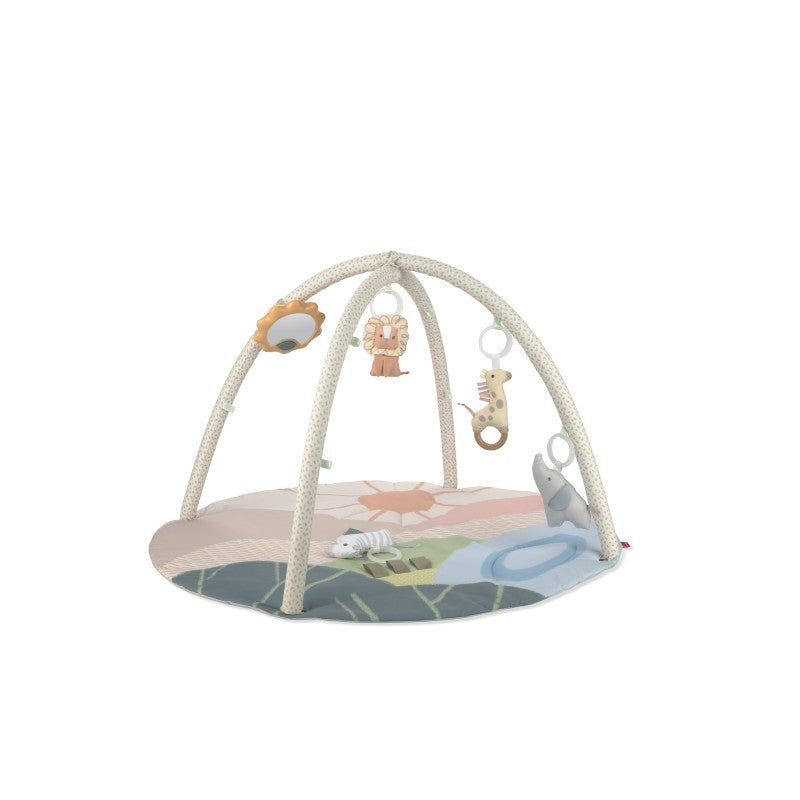 Savannah Sunset Play Gym