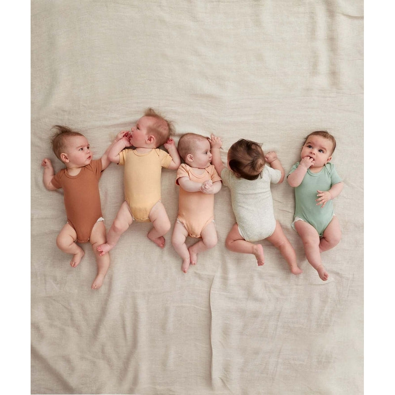 Bodywear Short Sleeve Bodysuit