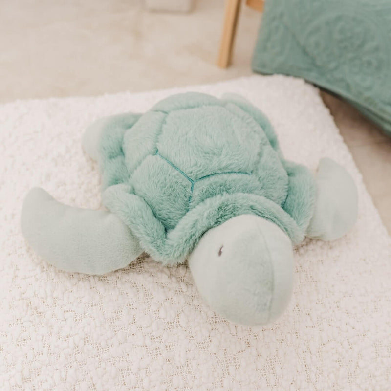 Plush Toy - Toby The Turtle