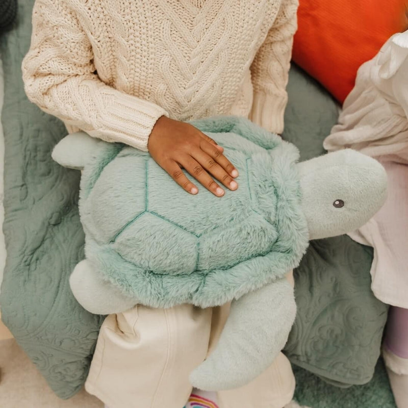 Plush Toy - Toby The Turtle