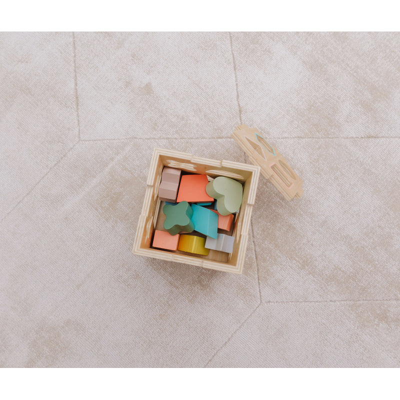 Wooden Shape Sorting Cube