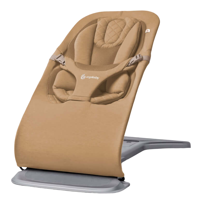 Ergobaby Evolve 3-in-1 Bouncer