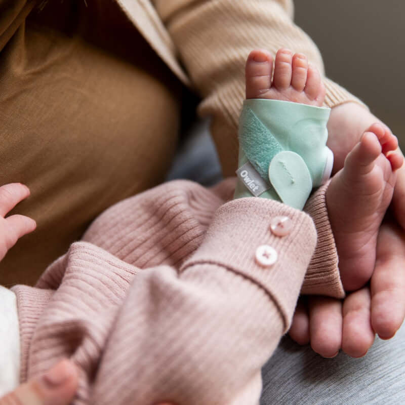 Owlet Monitor Duo 2