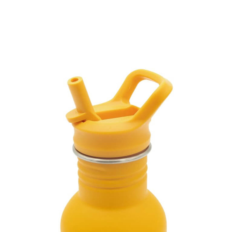 Stainless Steel Drink Bottle 500ml - Chompy The Lion