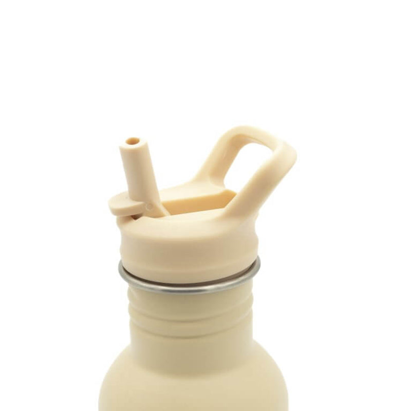 Sassi Stainless Steel Drink Bottle 500ml - Gnawy The Sloth