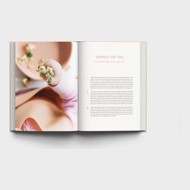 Nourishing Little Lives Book
