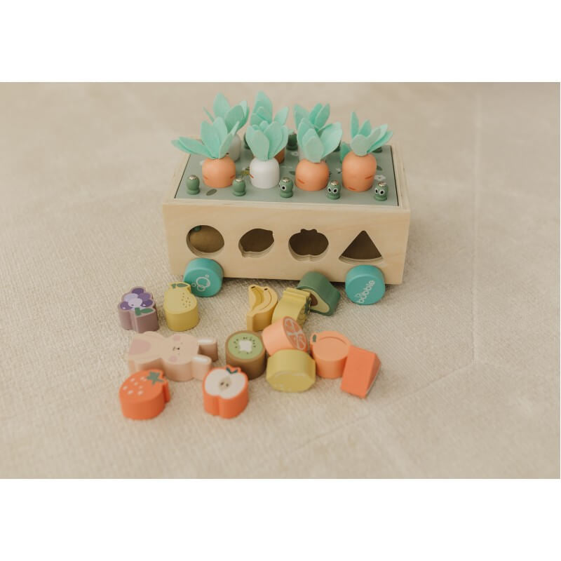 Bubble Wooden Vegetable Garden