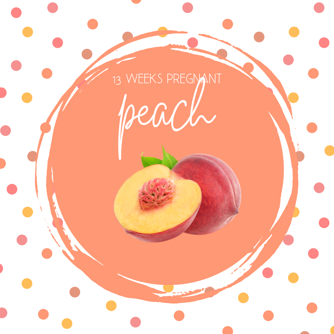 Pregnancy Tracker: Week 13