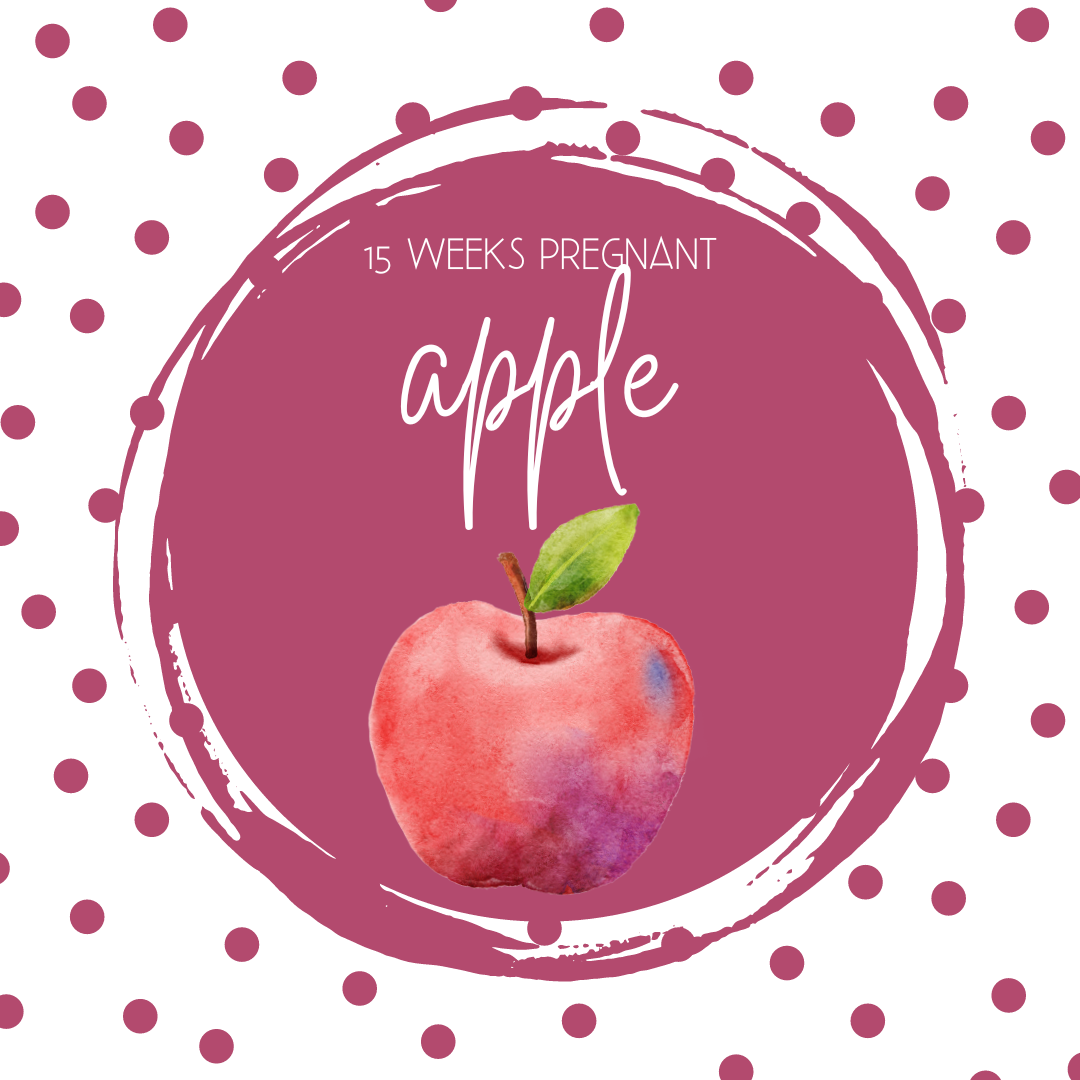 Pregnancy Tracker: Week 15