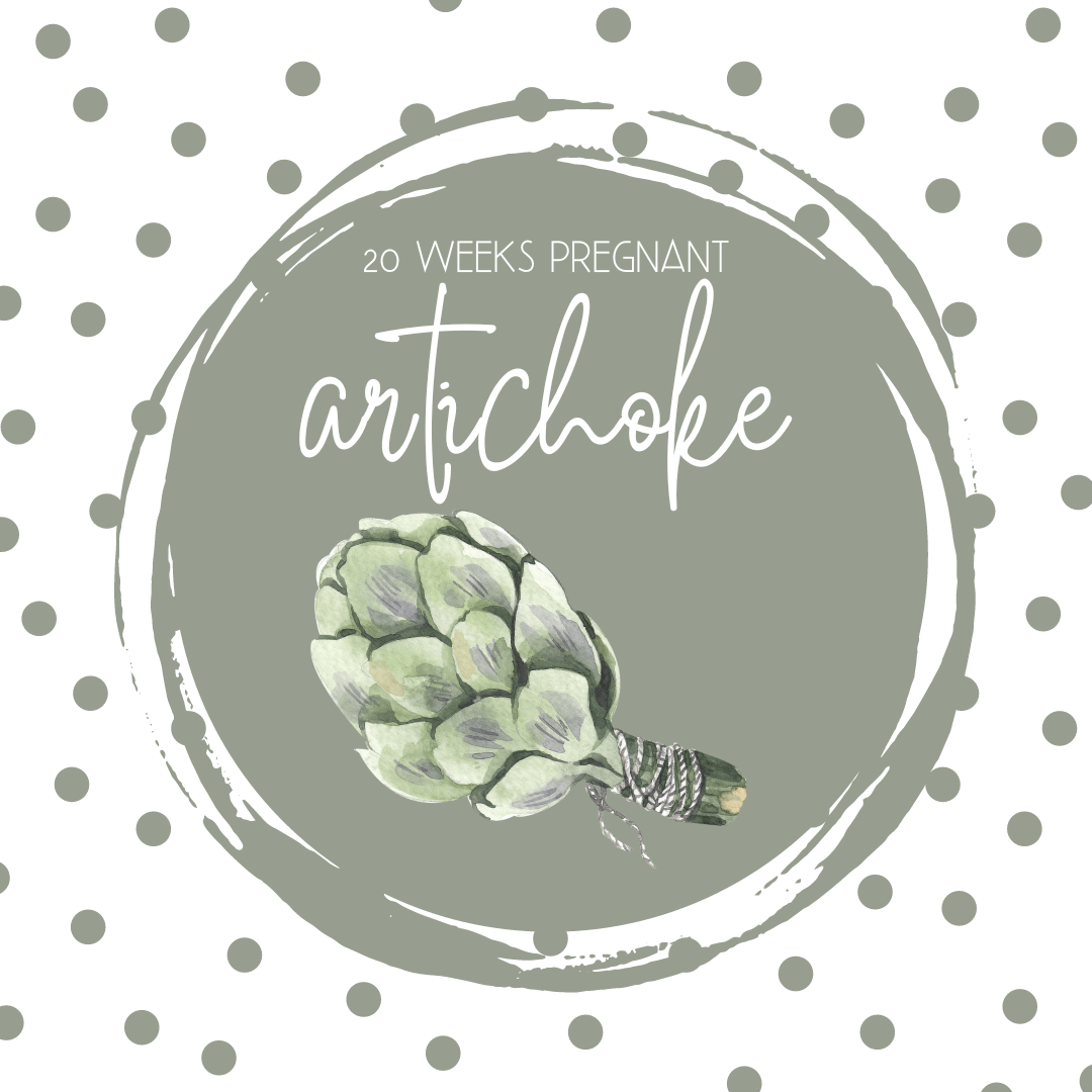 Pregnancy Tracker: Week 20