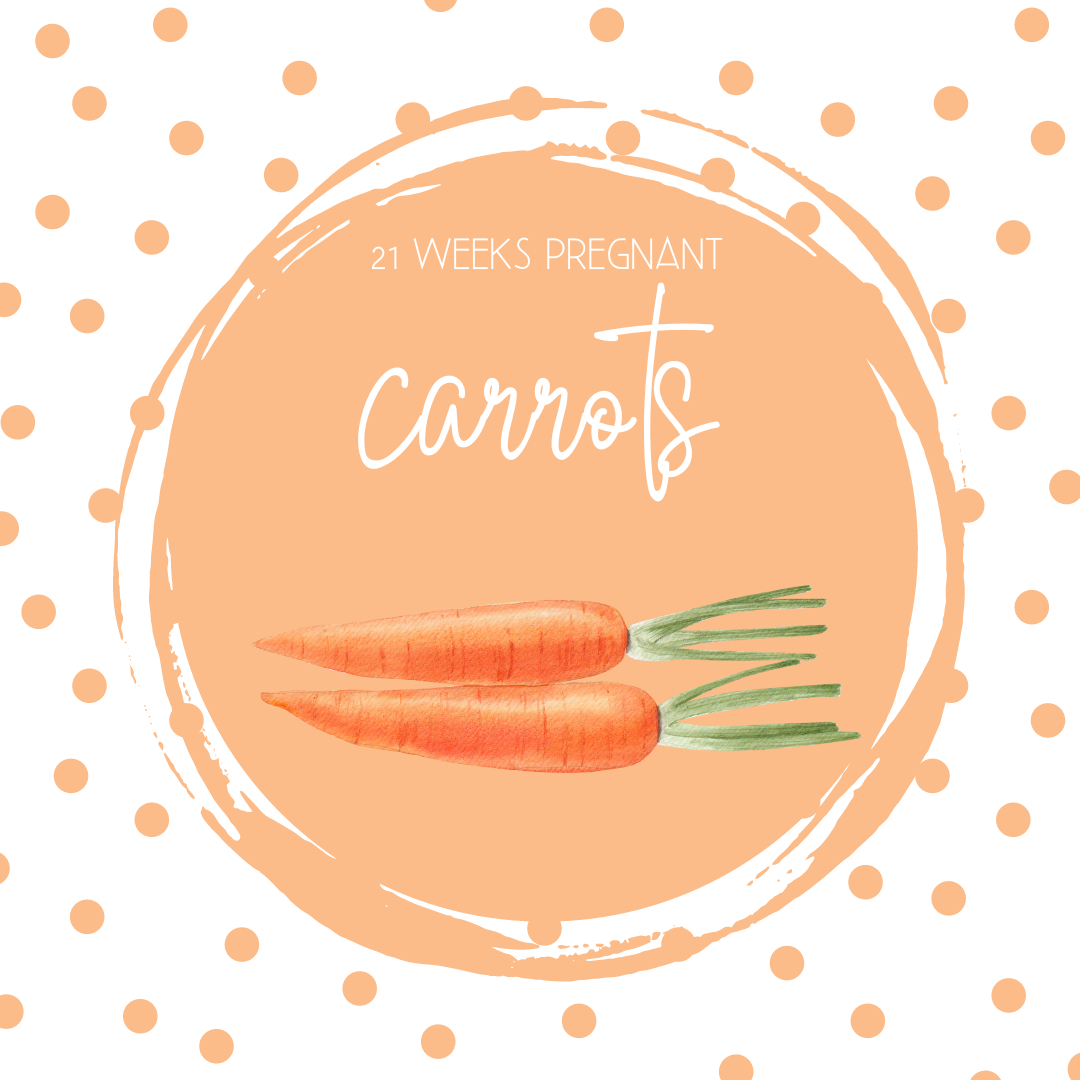 Pregnancy Tracker: Week 21