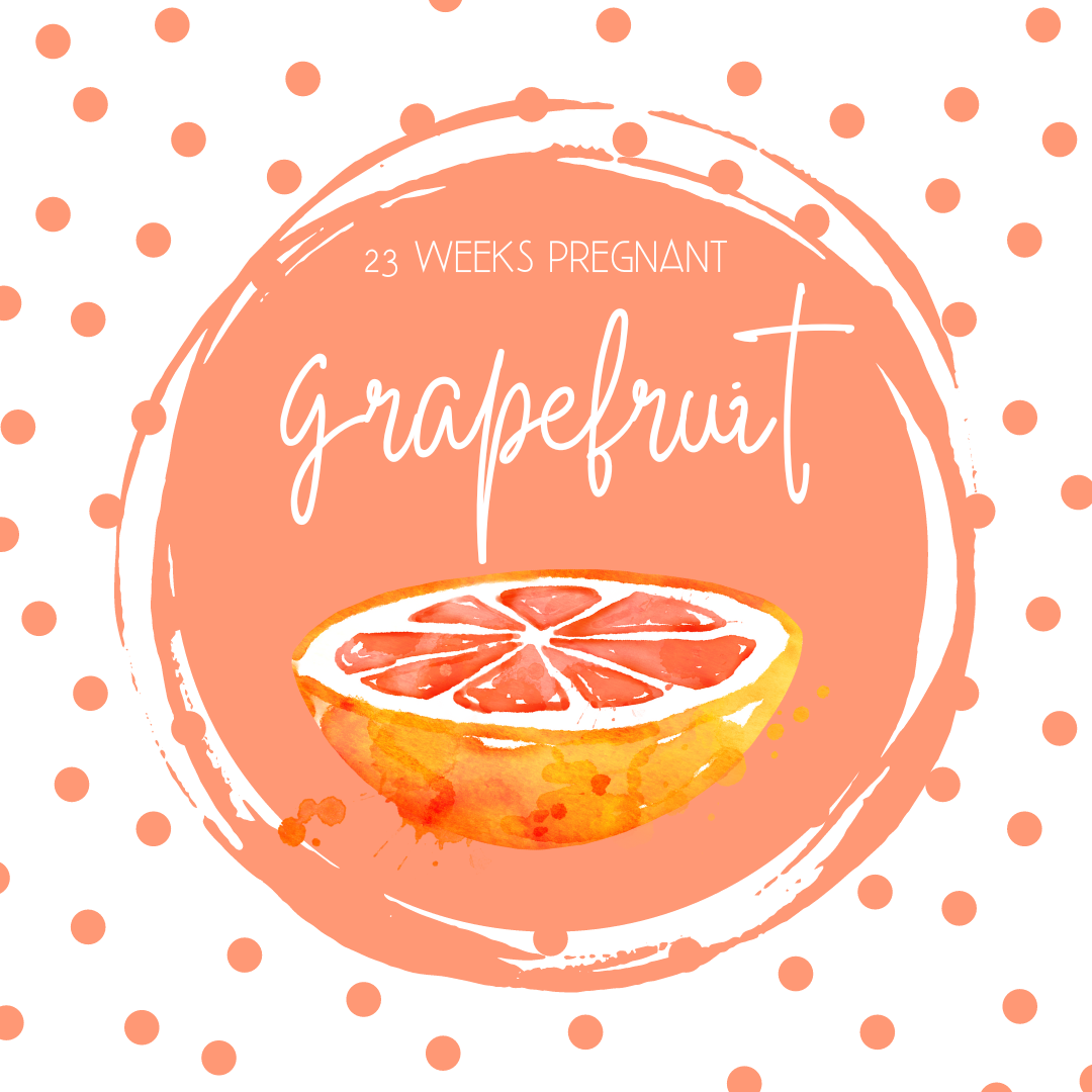 Pregnancy Tracker: Week 23