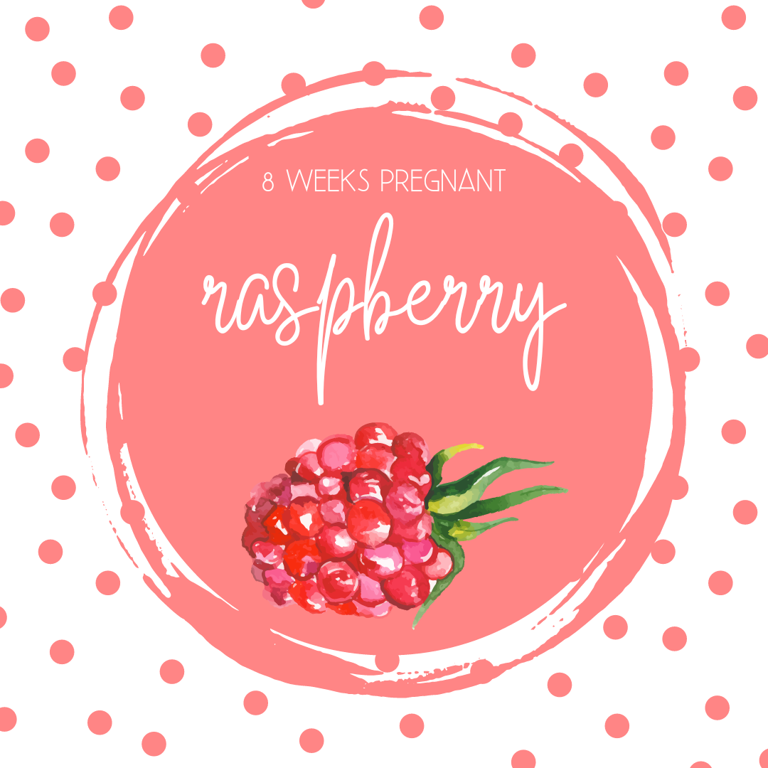 Pregnancy Tracker: Week 8