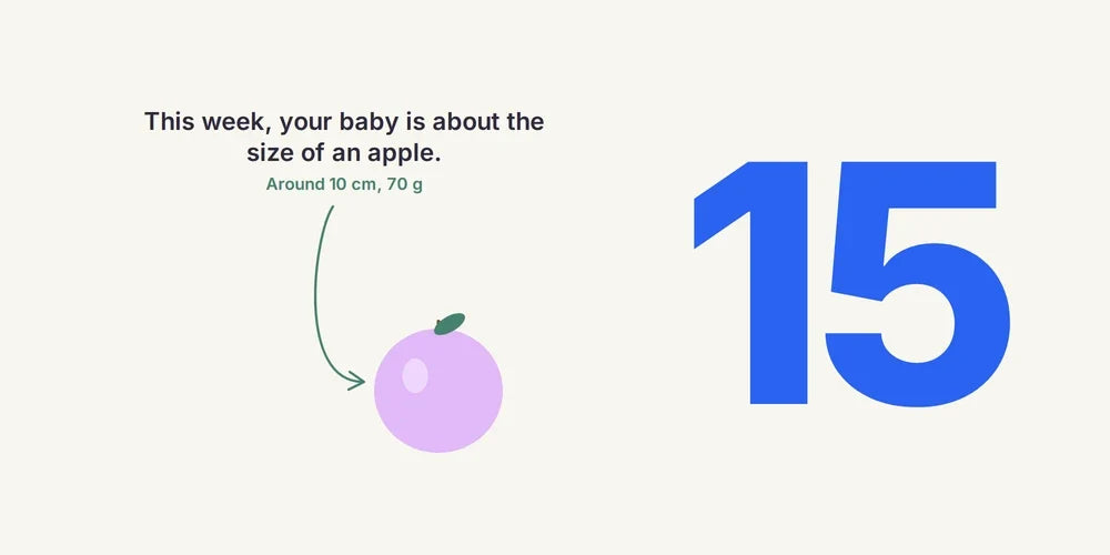 15 Weeks Pregnant: Baby's Senses, Symptoms & Safe Exercise