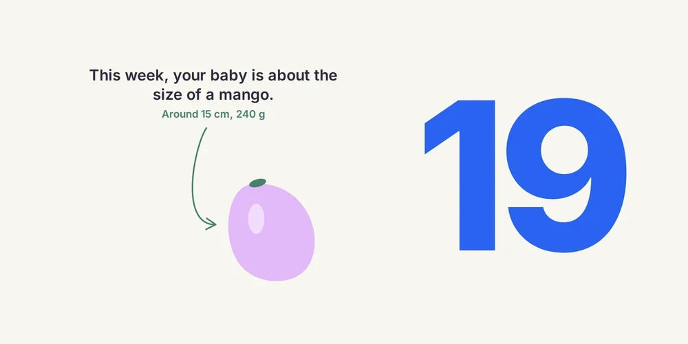 19 Weeks Pregnant: Vernix, First Kicks & Easing Back Pain