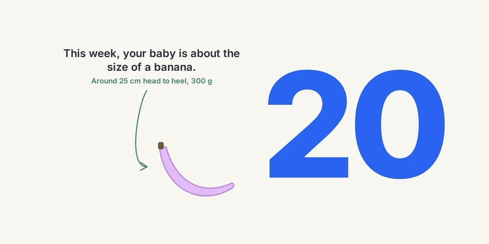 20 Weeks Pregnant: Halfway, Morphology Scan & What's Ahead