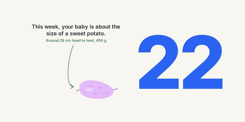 22 Weeks Pregnant: Baby's Senses, Stretch Marks & Swelling