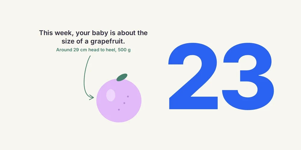 23 Weeks Pregnant: Baby's Hearing, Symptoms & Safe Nursery