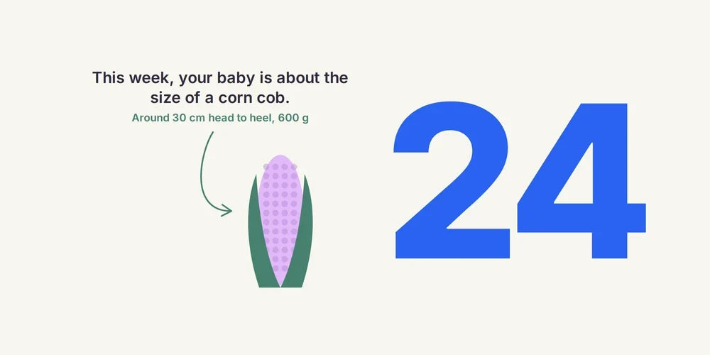 24 Weeks Pregnant: Glucose Test, Baby's Lungs & Symptoms
