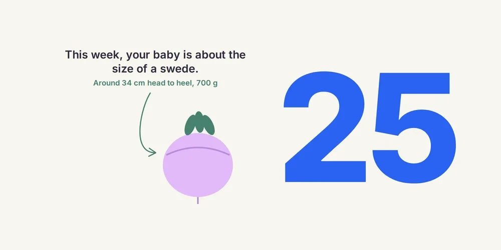 25 Weeks Pregnant: Baby's Growth, Heartburn & Pelvic Pain