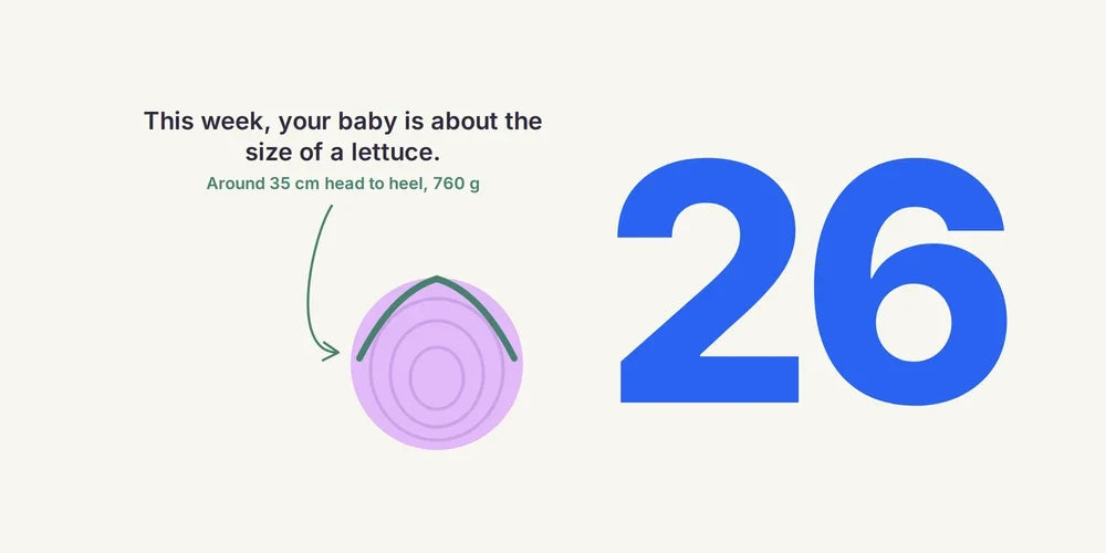 26 Weeks Pregnant: Baby's Eyes, Vaccines & Symptoms