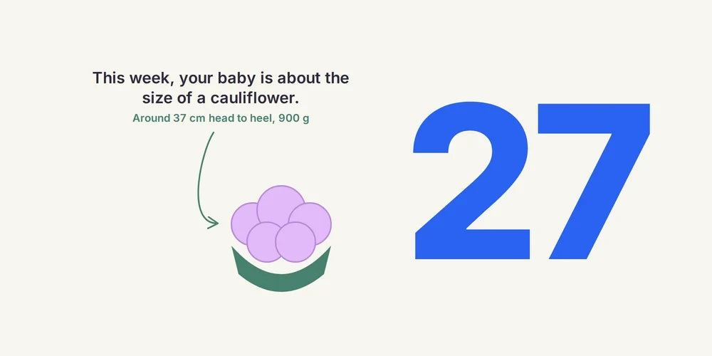 27 Weeks Pregnant: End of the Second Trimester & What's Ahead