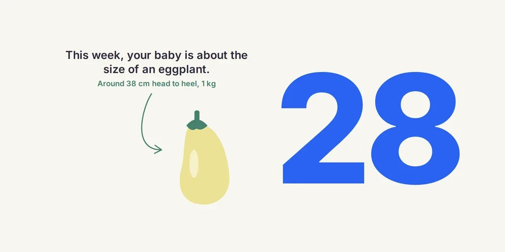 28 Weeks Pregnant: Third Trimester, Baby's Movements & Anti-D