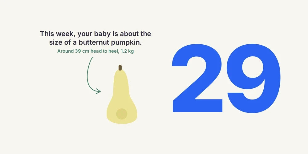 29 Weeks Pregnant: Baby's Growth, Breathlessness & Nesting