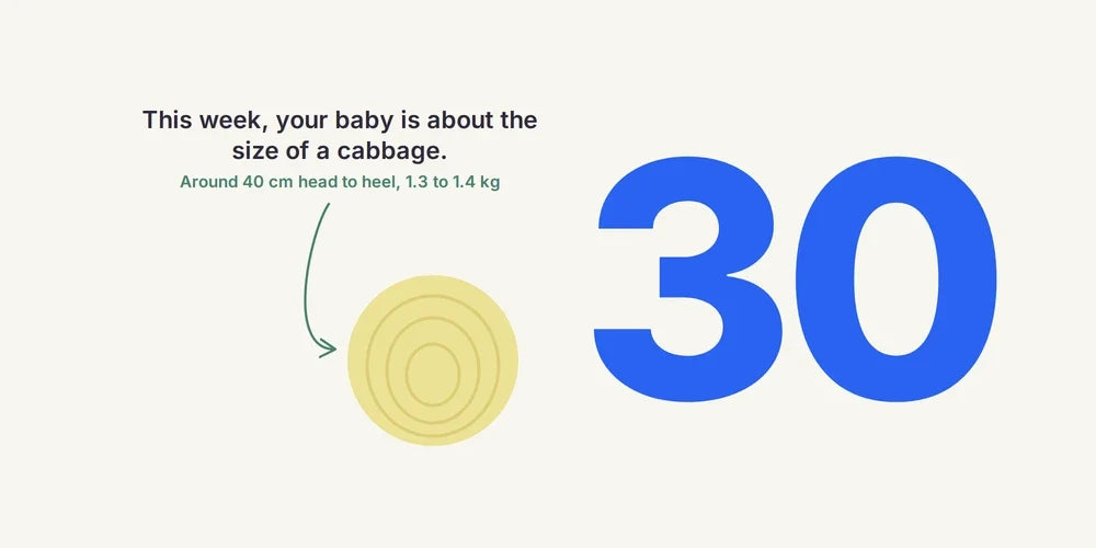 30 Weeks Pregnant: Baby's Brain, Symptoms & Choosing a Pram