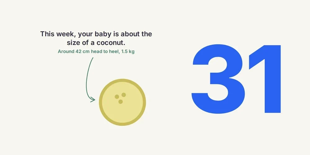 31 Weeks Pregnant: Baby's Senses, Antenatal Classes & Baby Gear