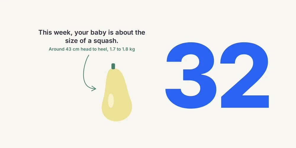 32 Weeks Pregnant: Baby's Position, Check-Ups & Birth Plan