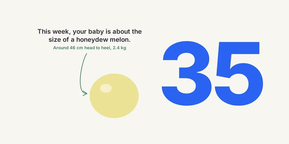 35 Weeks Pregnant: GBS Swab, Pelvic Pressure & Bringing Baby Home