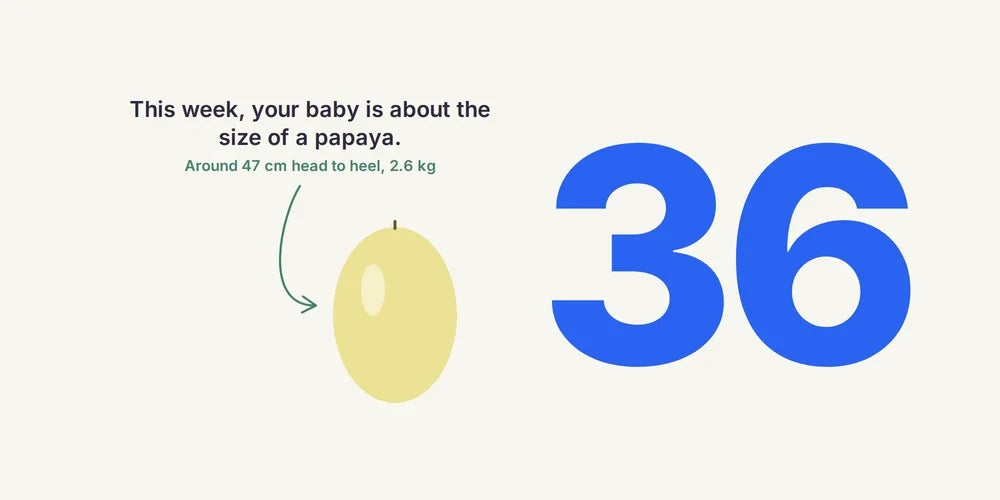 36 Weeks Pregnant: Baby Dropping, Weekly Check-Ups & Nursery