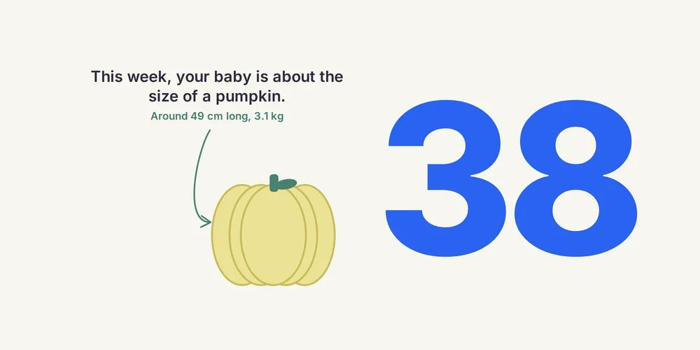 38 Weeks Pregnant: Early Labour, Comfort & Your Newborn List