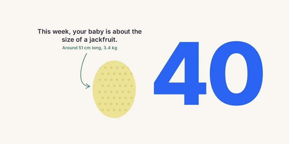 40 Weeks Pregnant: Your Due Date & What Happens Next