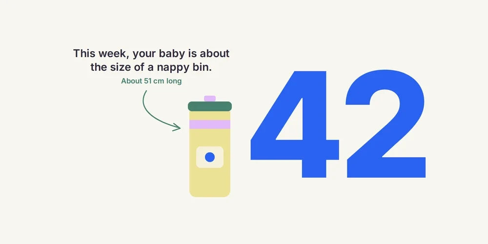 42 Weeks Pregnant: Induction, Pain Relief & Preparing for Birth