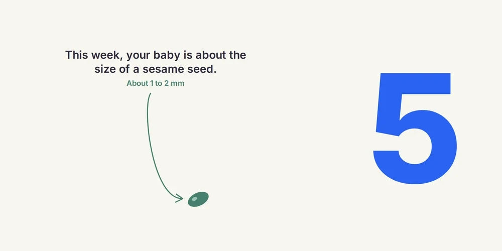 5 Weeks Pregnant: Symptoms, Morning Sickness & Baby's Development