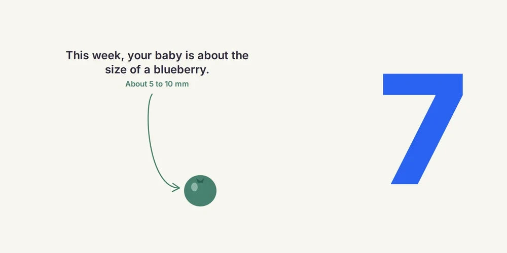 7 Weeks Pregnant: Baby's Brain, Symptoms & What to Expect