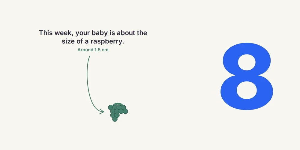 8 Weeks Pregnant: First Antenatal Visit, Symptoms & Baby's Growth