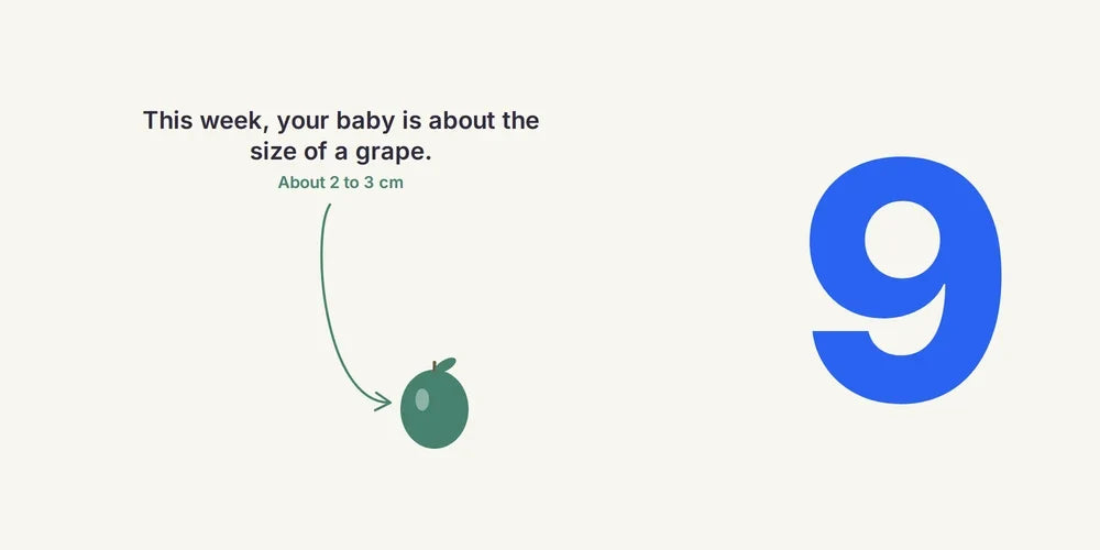 9 Weeks Pregnant: Baby's Growth, Symptoms & Caffeine Guide