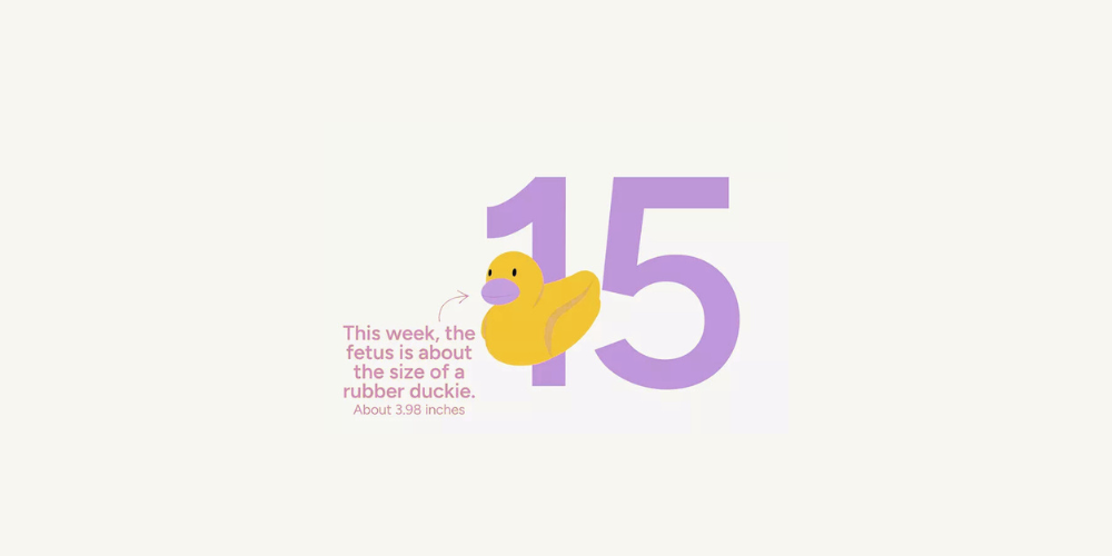 Pregnancy Week by Week: Week 15