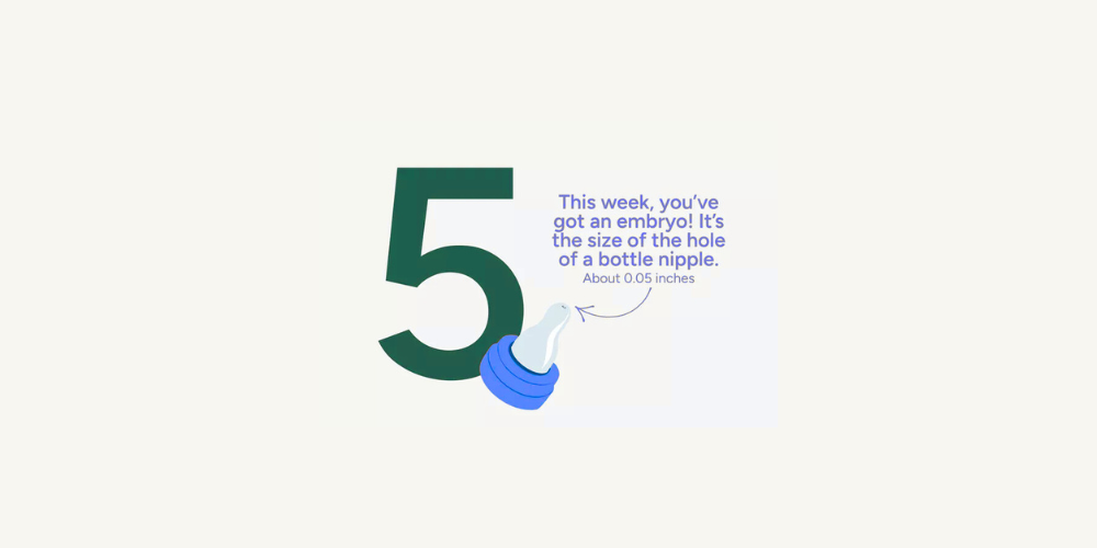 Pregnancy Week by Week: Week 5