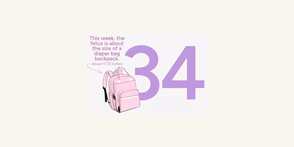 Pregnancy Week by Week: Week 34