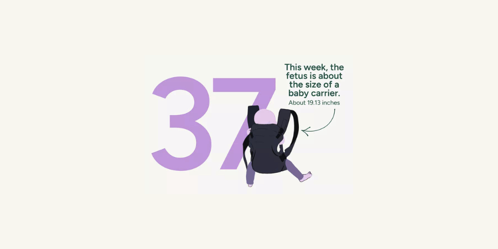 Pregnancy Week by Week: Week 37